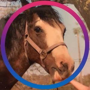 Meet your Posher, Morgan